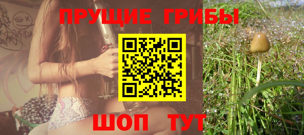 Ногинск  Псилоцибиновые грибы Psilocybe  Вход с VPN 